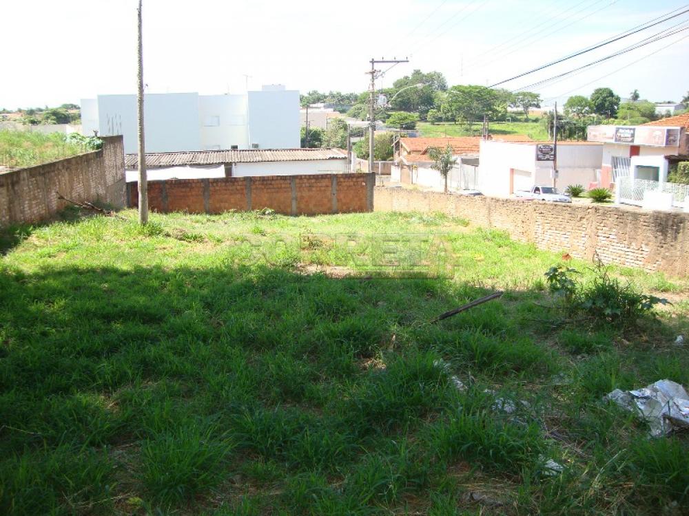 Alugar Terreno / Padrão em Araçatuba R$ 400,00 - Foto 1