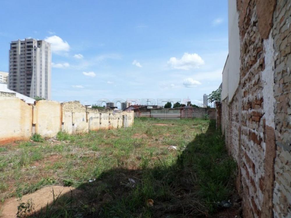 Alugar Terreno / Padrão em Araçatuba R$ 3.000,00 - Foto 1