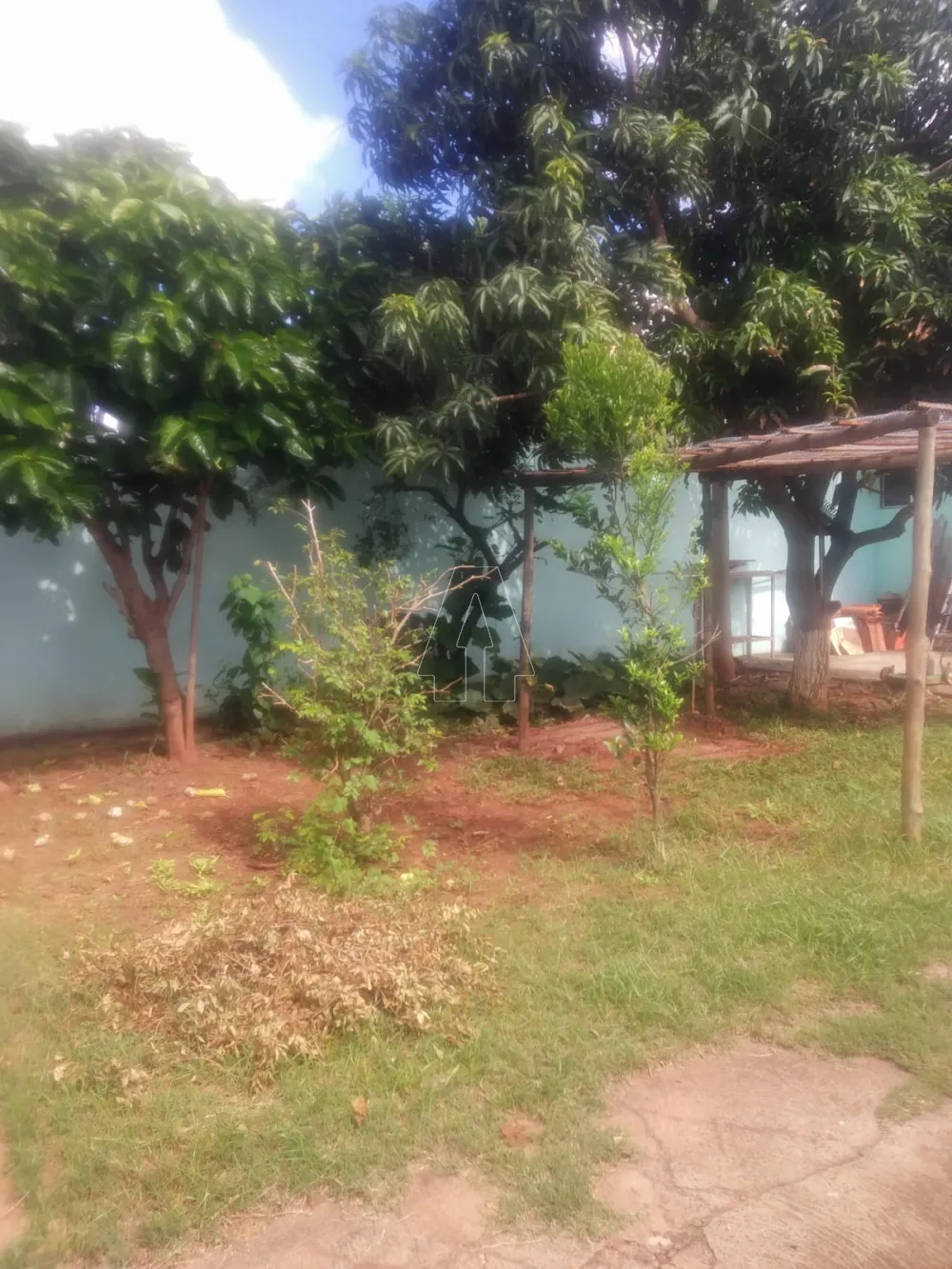 Comprar Casa / Residencial em Araçatuba R$ 295.000,00 - Foto 10