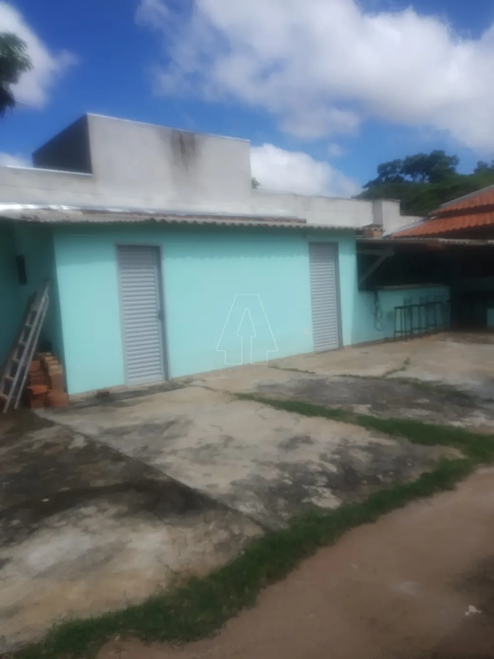 Comprar Casa / Residencial em Araçatuba R$ 295.000,00 - Foto 14