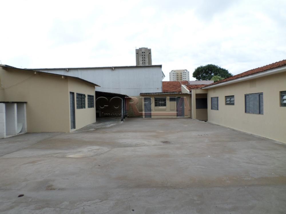 Alugar Comercial / Casa em Araçatuba R$ 4.500,00 - Foto 16