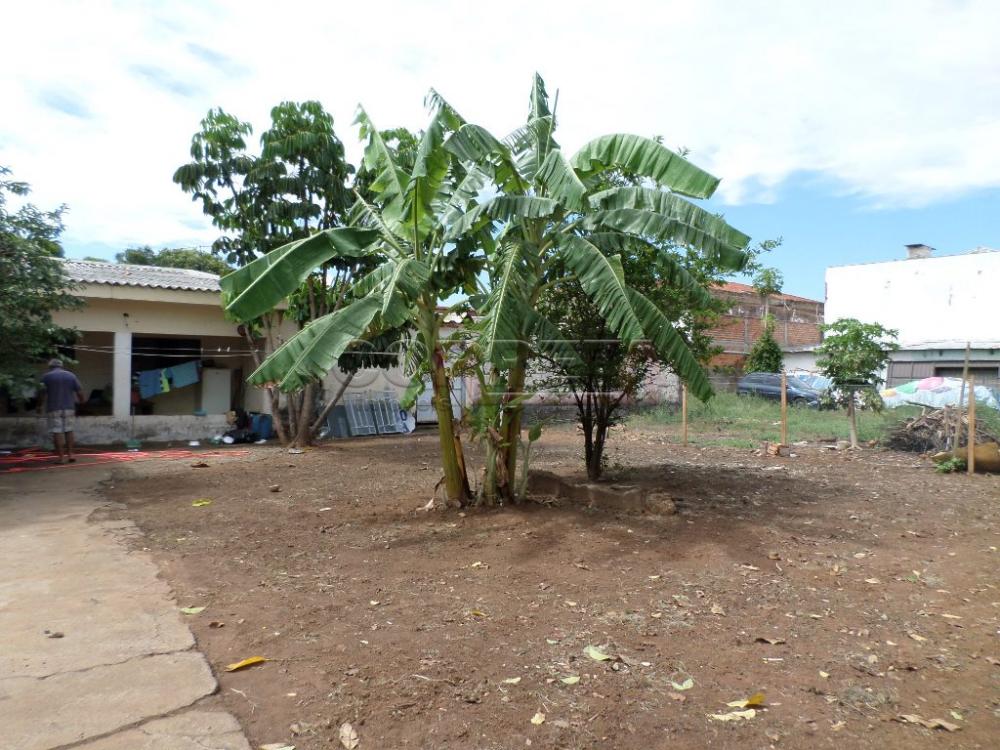 Alugar Comercial / Barracão em Araçatuba R$ 2.500,00 - Foto 2