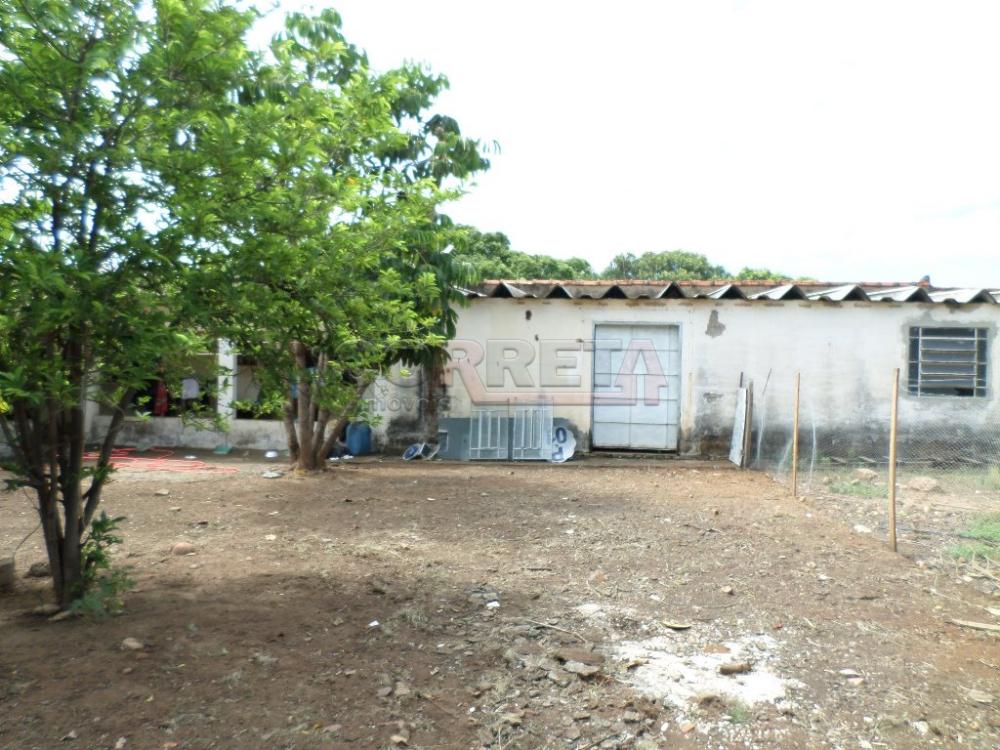 Alugar Comercial / Barracão em Araçatuba R$ 2.500,00 - Foto 3