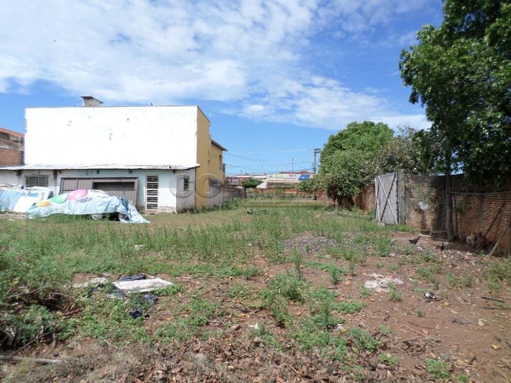 Alugar Comercial / Barracão em Araçatuba R$ 2.500,00 - Foto 6