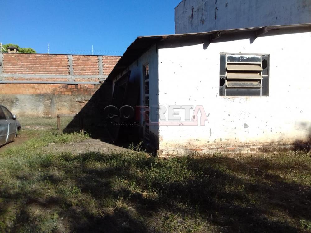 Alugar Comercial / Barracão em Araçatuba R$ 2.500,00 - Foto 10