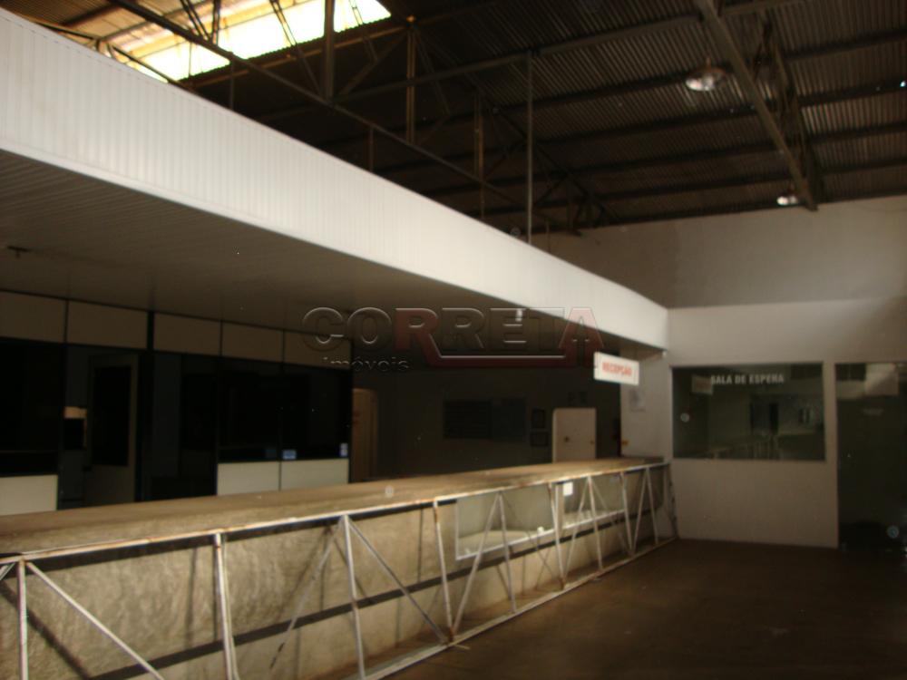 Alugar Comercial / Barracão em Araçatuba R$ 8.000,00 - Foto 4