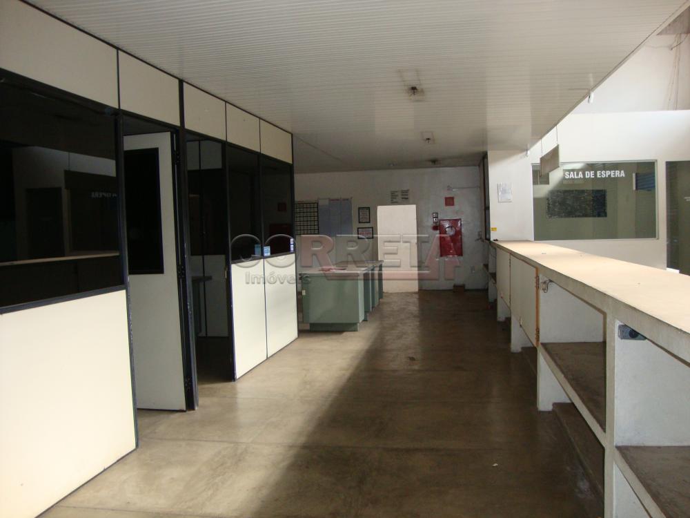 Alugar Comercial / Barracão em Araçatuba R$ 8.000,00 - Foto 1