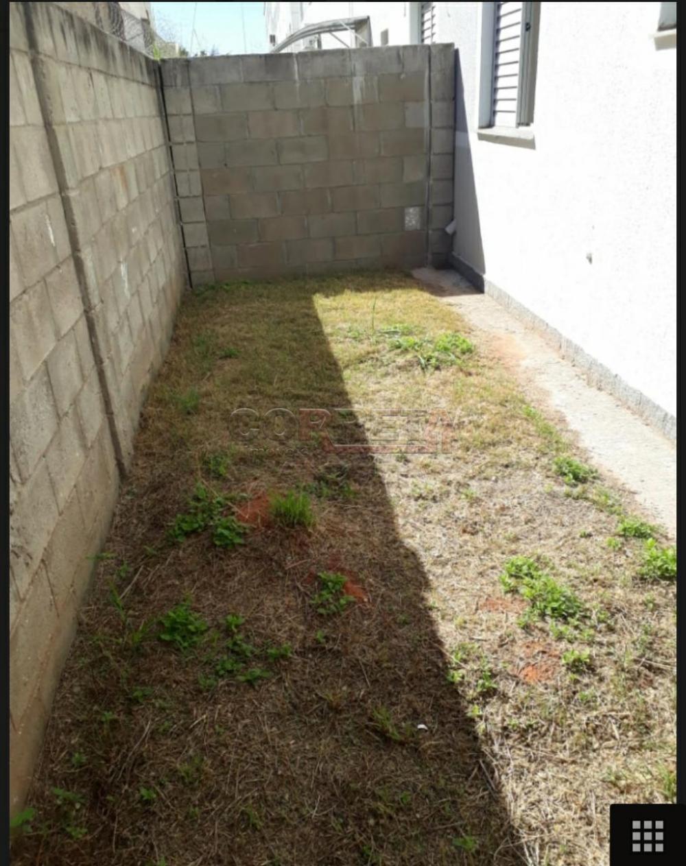 Alugar Apartamento / Padrão em Araçatuba R$ 700,00 - Foto 3