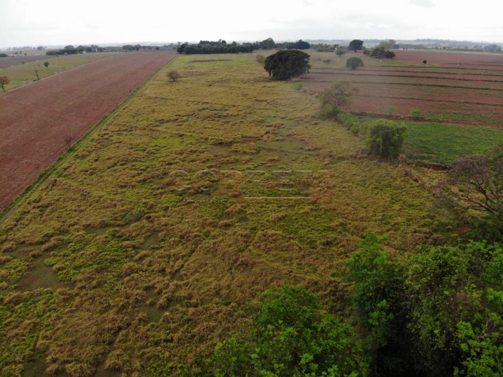 Comprar Rural / Chácara em Birigüi R$ 1.600.000,00 - Foto 60