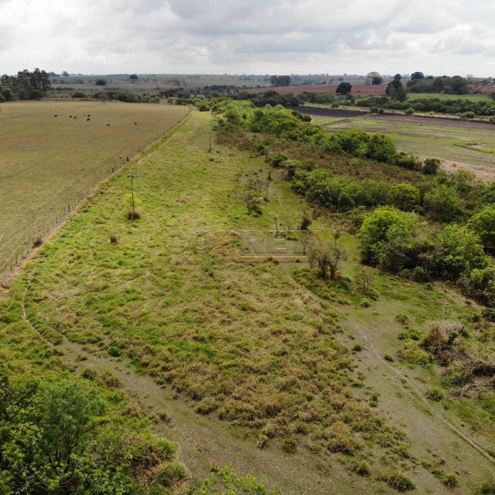 Comprar Rural / Chácara em Birigüi R$ 1.600.000,00 - Foto 61