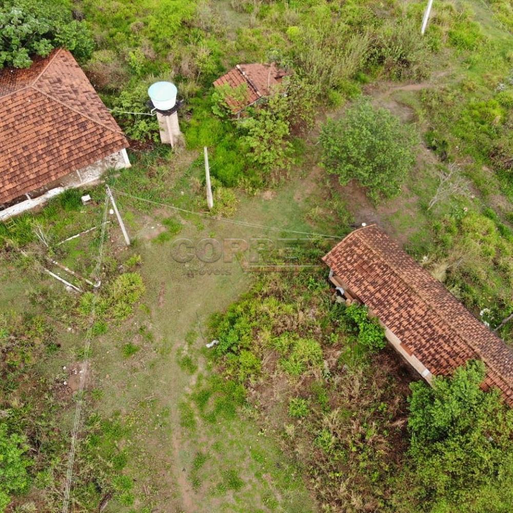 Comprar Rural / Chácara em Birigüi R$ 1.600.000,00 - Foto 63