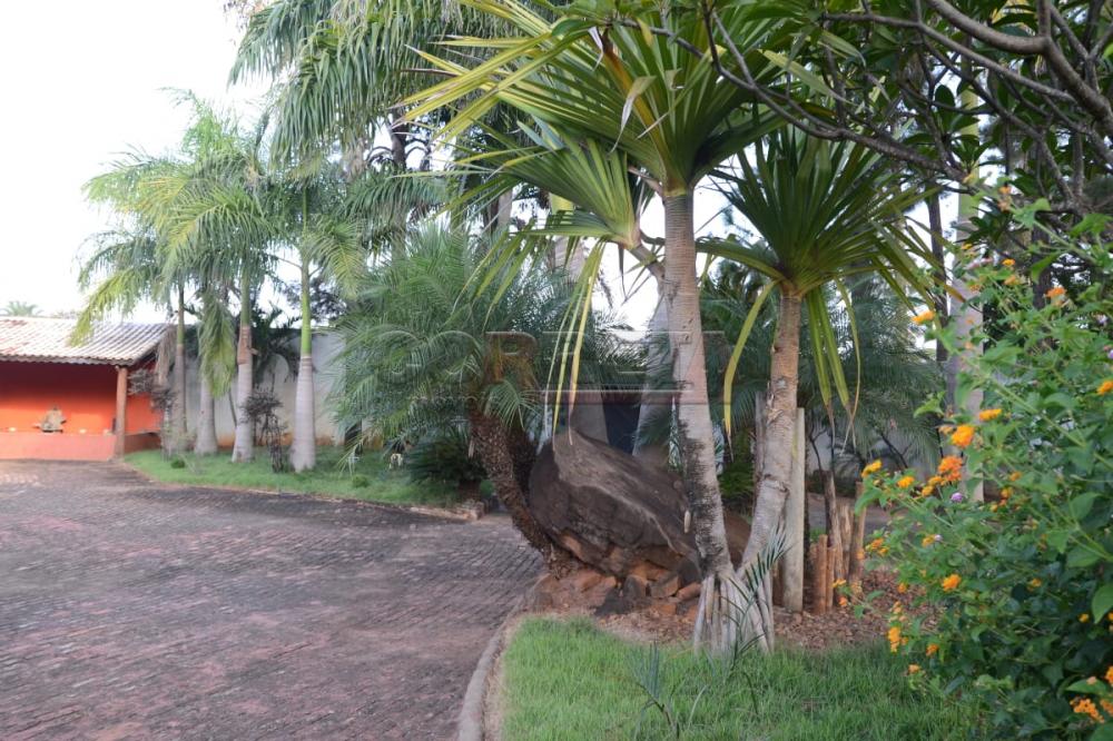 Comprar Rural / Chácara em Birigüi R$ 1.600.000,00 - Foto 17