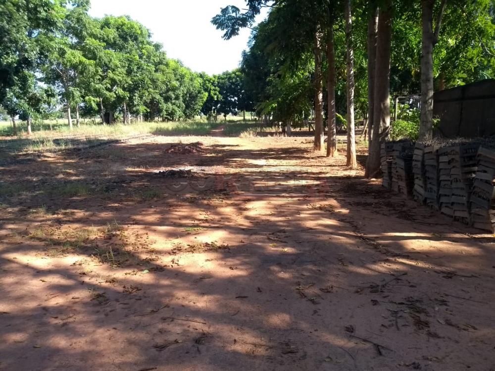 Comprar Rural / Chácara em Birigüi R$ 1.600.000,00 - Foto 24