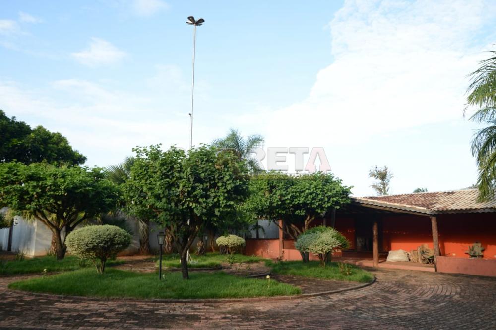 Comprar Rural / Chácara em Birigüi R$ 1.600.000,00 - Foto 37