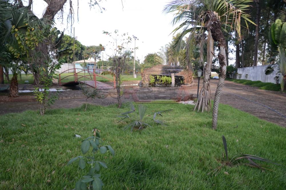 Comprar Rural / Chácara em Birigüi R$ 1.600.000,00 - Foto 41