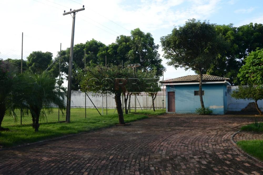 Comprar Rural / Chácara em Birigüi R$ 1.600.000,00 - Foto 45