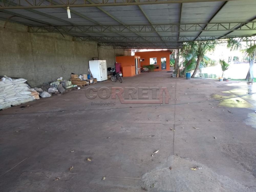 Comprar Rural / Chácara em Birigüi R$ 1.600.000,00 - Foto 58