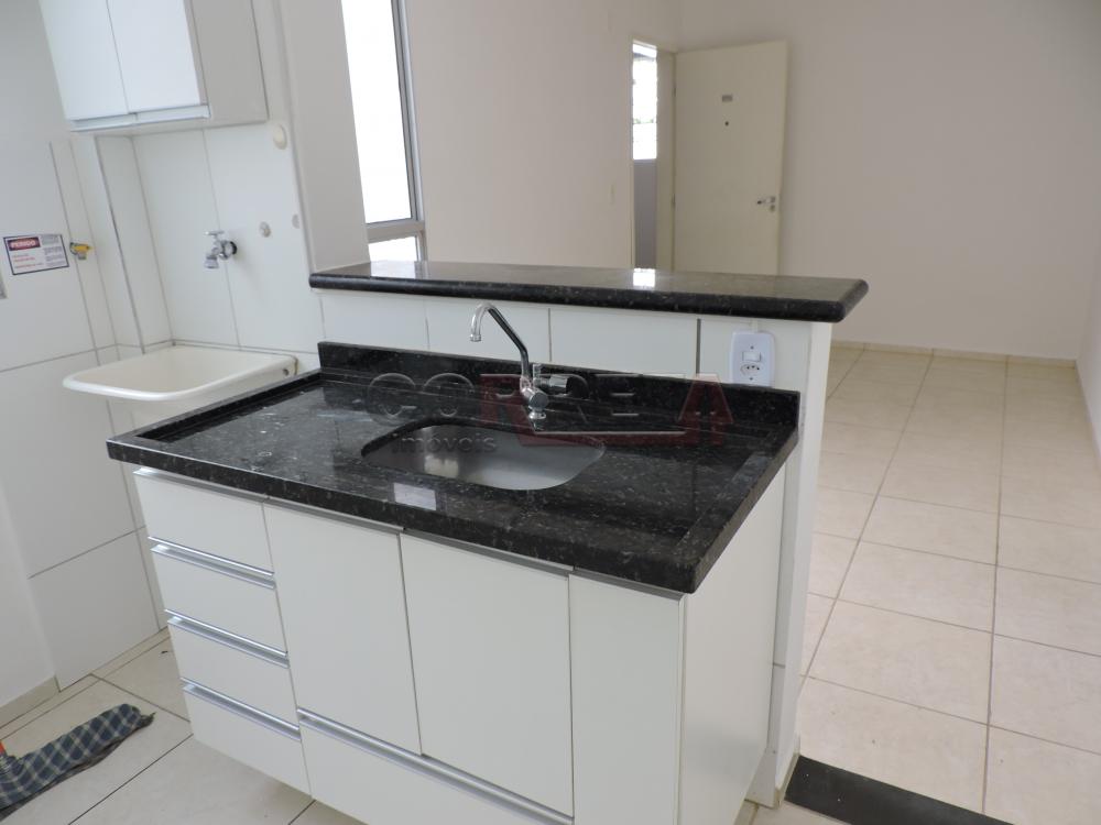 Alugar Apartamento / Padrão em Araçatuba R$ 550,00 - Foto 7