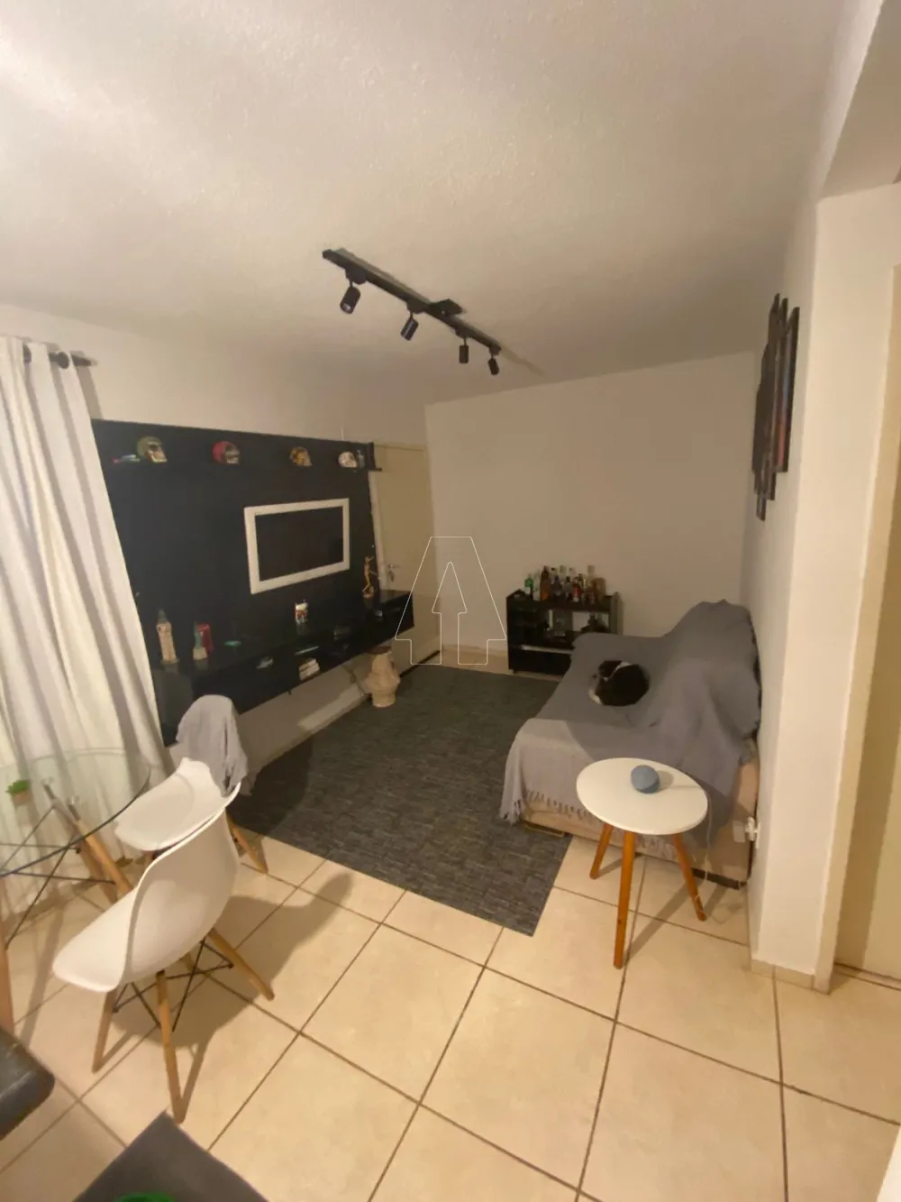 Alugar Apartamento / Padrão em Araçatuba R$ 550,00 - Foto 1