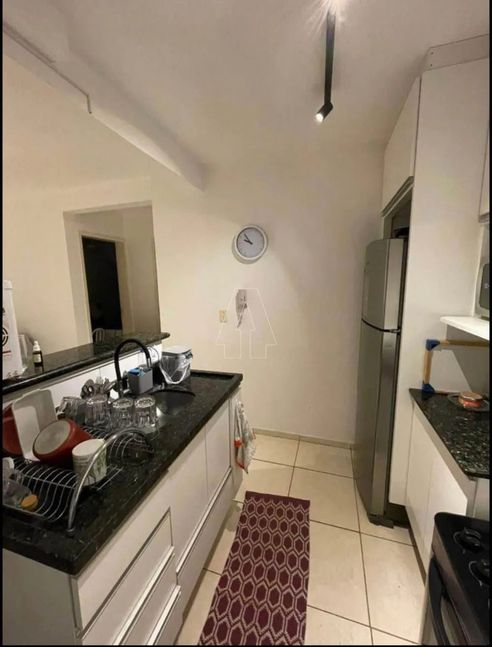 Alugar Apartamento / Padrão em Araçatuba R$ 550,00 - Foto 3