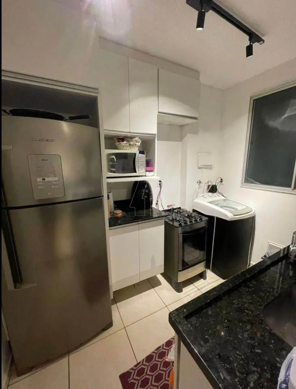 Alugar Apartamento / Padrão em Araçatuba R$ 550,00 - Foto 4