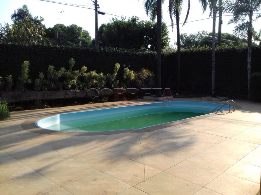 Comprar Casa / Residencial em Araçatuba - Foto 34