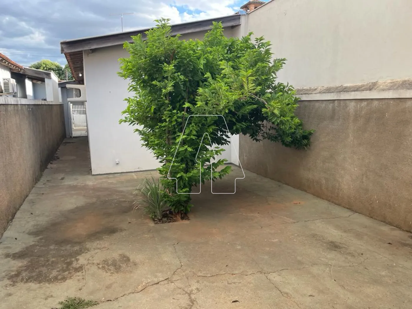 Alugar Casa / Residencial em Araçatuba R$ 1.130,00 - Foto 12