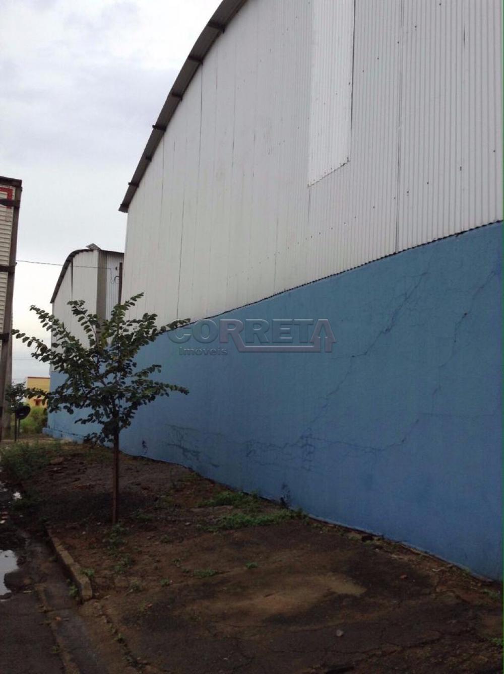 Alugar Comercial / Barracão em Araçatuba R$ 5.000,00 - Foto 4