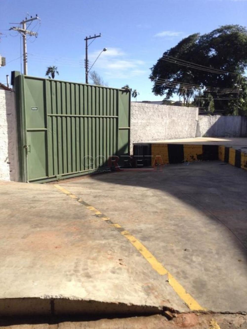 Alugar Comercial / Barracão em Araçatuba R$ 5.000,00 - Foto 8