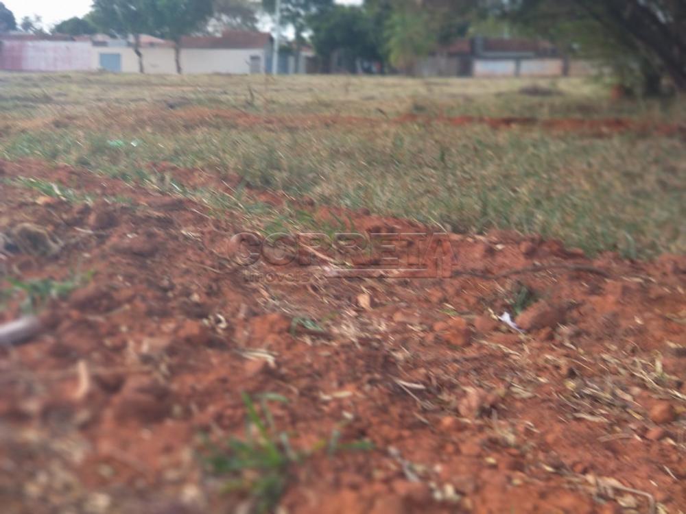 Comprar Terreno / Padrão em Araçatuba R$ 3.400.000,00 - Foto 2