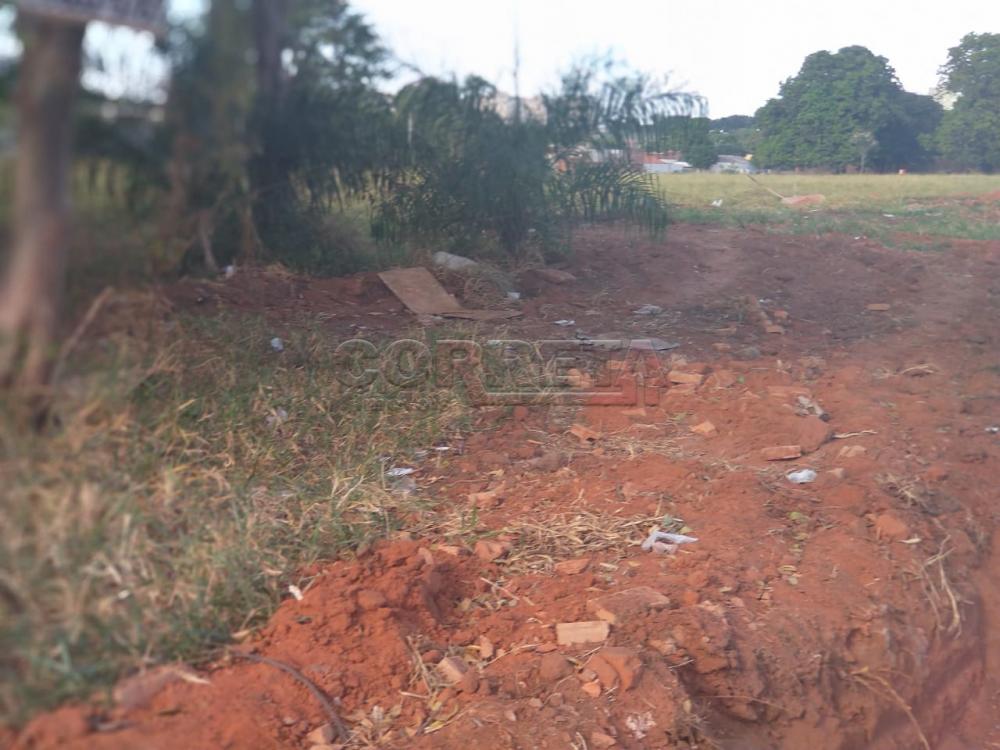 Comprar Terreno / Padrão em Araçatuba R$ 3.400.000,00 - Foto 4