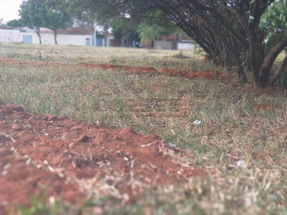 Comprar Terreno / Padrão em Araçatuba R$ 3.400.000,00 - Foto 5