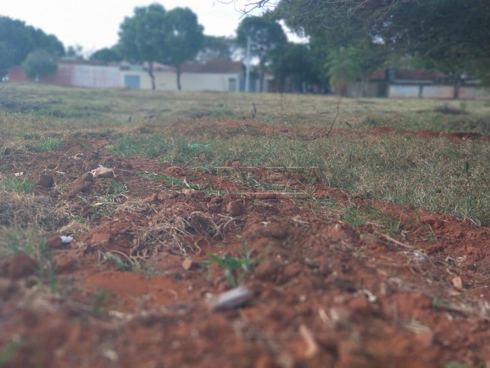 Comprar Terreno / Padrão em Araçatuba R$ 3.400.000,00 - Foto 7