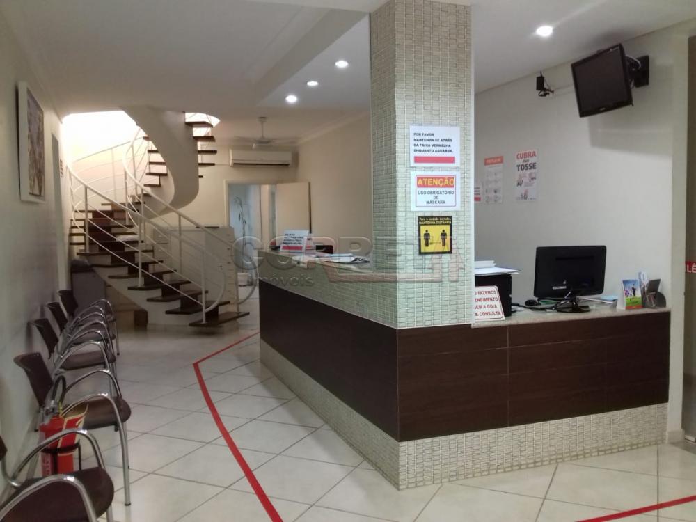 Alugar Comercial / Sala em Araçatuba R$ 950,00 - Foto 1