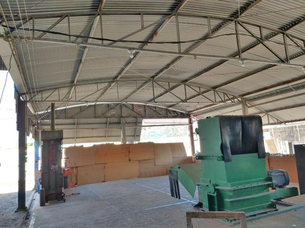 Comprar Comercial / Galpão em Araçatuba R$ 845.000,00 - Foto 13