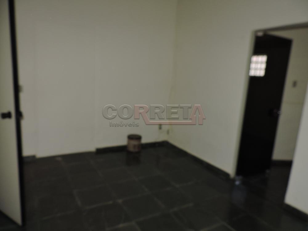 Alugar Comercial / Sala em Araçatuba R$ 2.200,00 - Foto 2