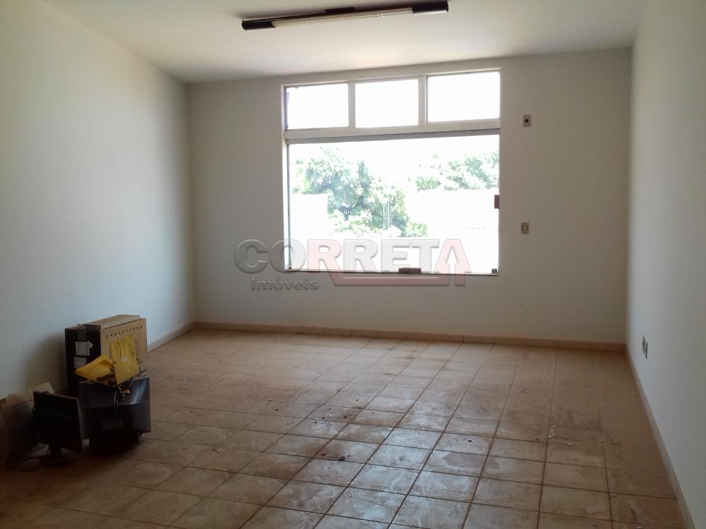 Alugar Comercial / Sala em Araçatuba R$ 800,00 - Foto 1