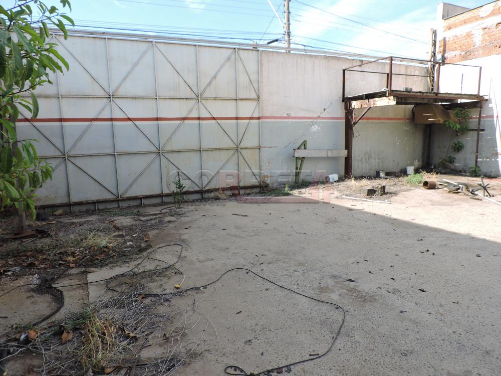 Comprar Comercial / Barracão em Araçatuba R$ 1.395.000,00 - Foto 3