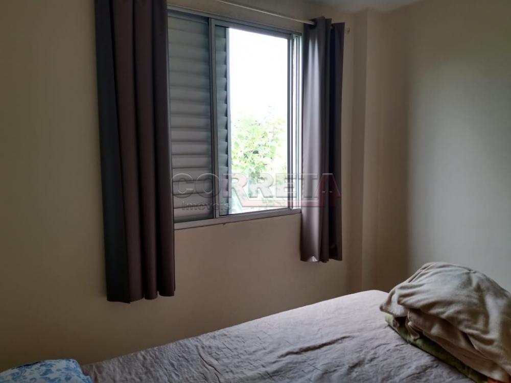 Alugar Apartamento / Padrão em Araçatuba R$ 501,00 - Foto 3