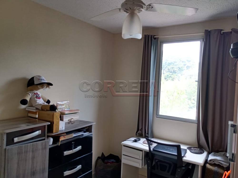 Alugar Apartamento / Padrão em Araçatuba R$ 501,00 - Foto 4