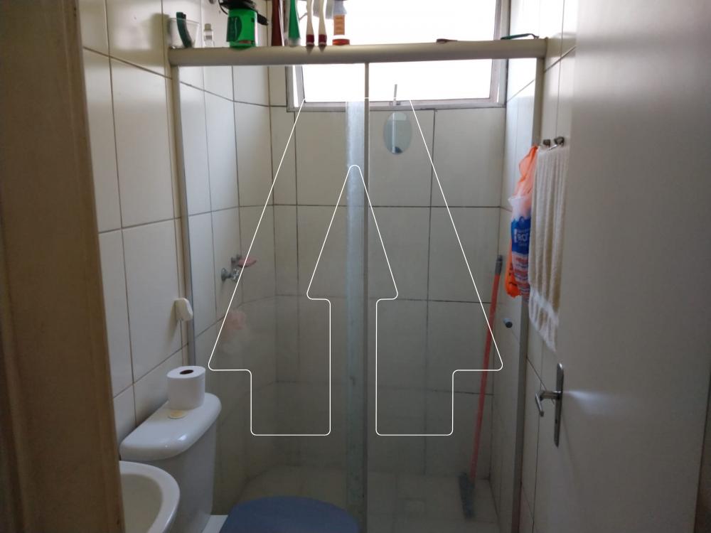 Alugar Apartamento / Padrão em Araçatuba R$ 720,00 - Foto 5