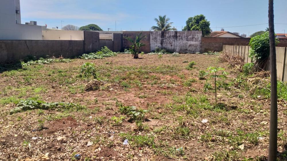 Comprar Terreno / Padrão em Araçatuba R$ 582.000,00 - Foto 1