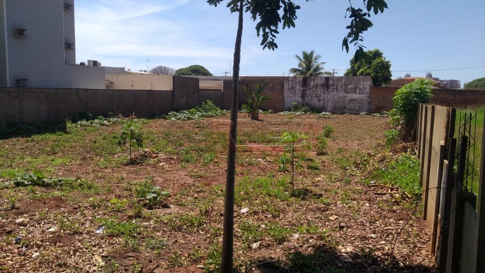 Comprar Terreno / Padrão em Araçatuba R$ 582.000,00 - Foto 3