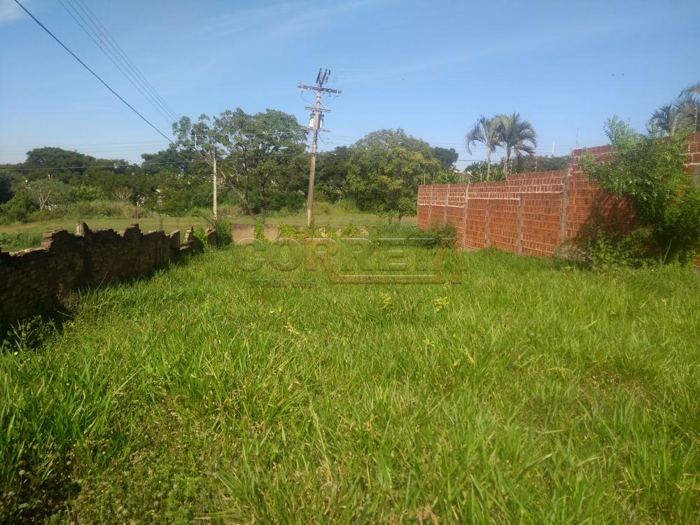 Comprar Terreno / Padrão em Araçatuba R$ 120.000,00 - Foto 2