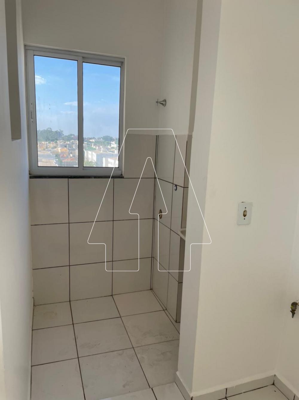 Alugar Apartamento / Padrão em Araçatuba R$ 950,00 - Foto 4