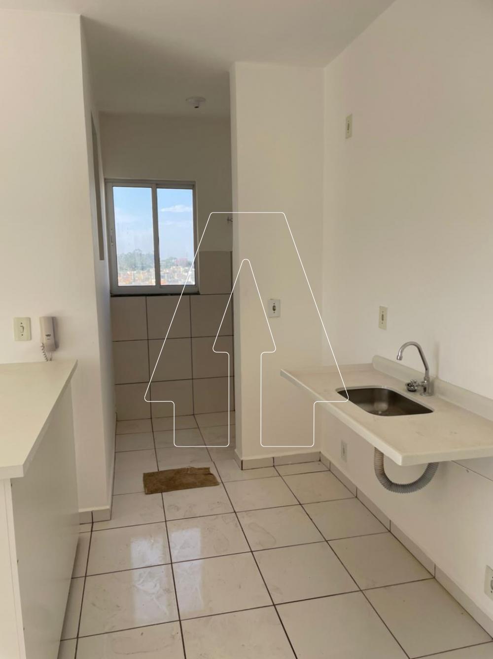 Alugar Apartamento / Padrão em Araçatuba R$ 950,00 - Foto 6