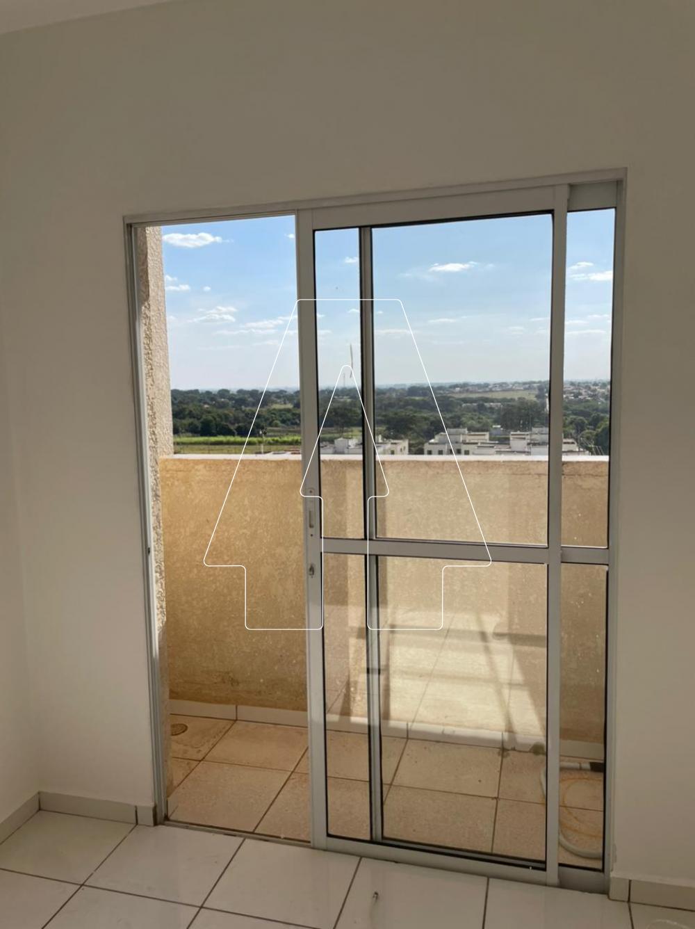 Alugar Apartamento / Padrão em Araçatuba R$ 950,00 - Foto 9