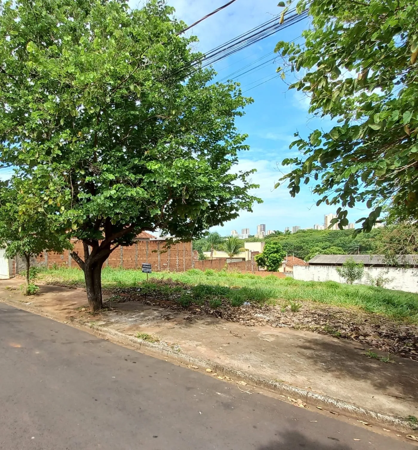 Comprar Terreno / Padrão em Araçatuba R$ 120.000,00 - Foto 5