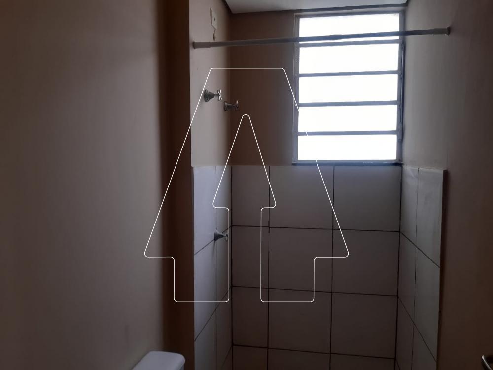 Alugar Apartamento / Padrão em Araçatuba R$ 600,00 - Foto 6