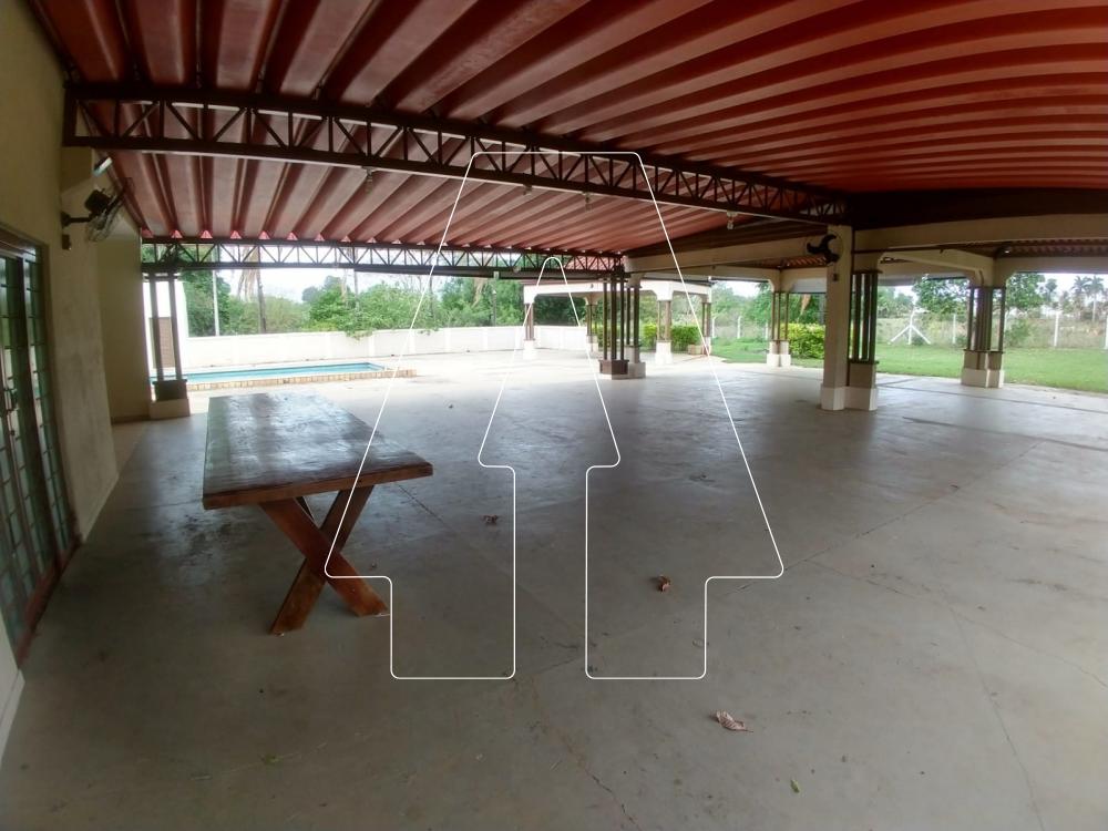 Comprar Rural / Chácara em Araçatuba R$ 850.000,00 - Foto 3